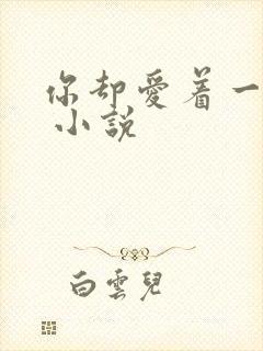 你却爱着一个他 小说