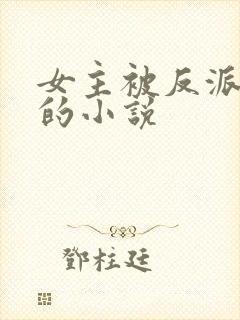 女主被反派qj的小说