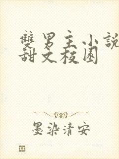 双男主小说推荐甜文校园