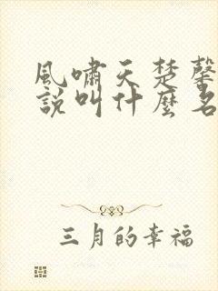 风啸天楚馨月小说叫什么名字