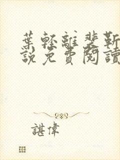 叶轻离裴靳墨小说免费阅读无弹窗