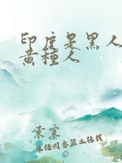 印度是黑人还是黄种人