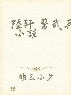 陆轩 医武兵王 小说