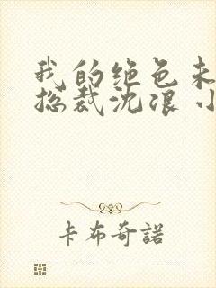 我的绝色未婚妻总裁沈浪 小说