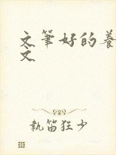 文笔好的养成宠文