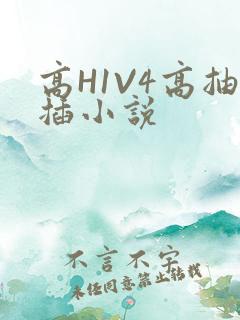 高H1V4高抽插小说