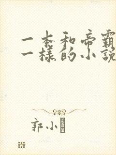 一本和帝霸一模一样的小说