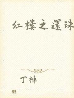 红楼之还珠与溶