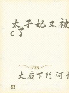 太子妃又被皇帝c了