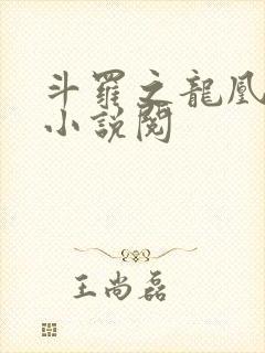 斗罗之龙凰传说小说阅