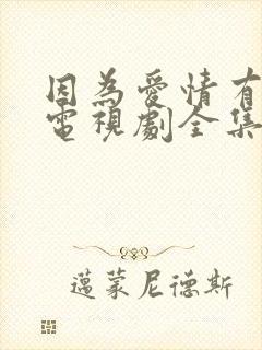 因为爱情有多美电视剧全集在线观看