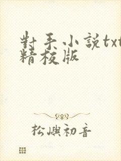 对手小说txt精校版