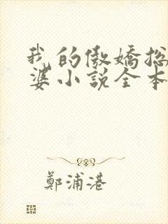 我的傲娇总裁老婆小说全本免费阅读