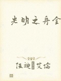 光明之舟金手指