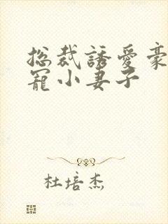 总裁诱爱豪门欢宠小妻子