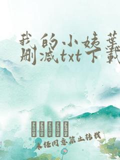 我的小姨叶凡无删减txt下载