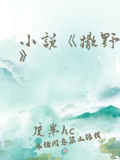 小说《撒野巫哲》