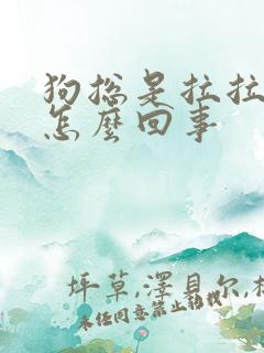 狗总是拉拉尿是怎么回事