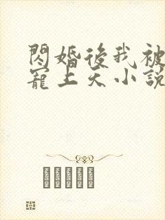 闪婚后我被大叔宠上天小说免费阅读无弹窗