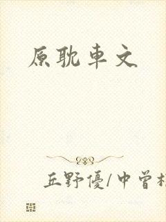 原耽车文