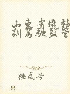 山东省机动车培训驾驶监管服务平台