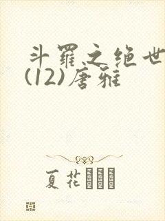 斗罗之绝世绿门(12)唐雅