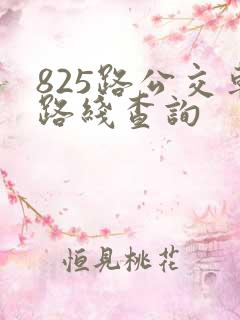 825路公交车路线查询