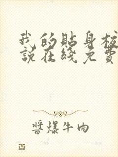 我的贴身校花小说在线免费看