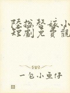 陆总替嫁小宠妻短剧免费观看全集