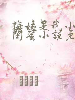 梅姨是我小妈的闺蜜小说免费阅读