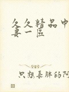 久久精品中文人妻一区