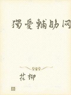 独爱辅助网