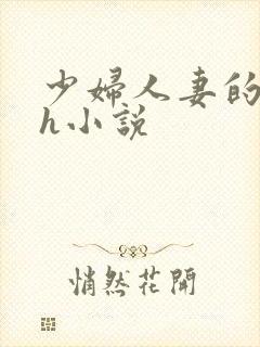 少妇人妻的欲望h小说