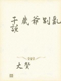 千岁爷别乱来小说