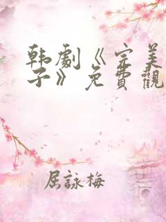 韩剧《完美的妻子》免费观看全集