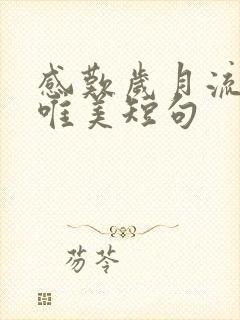 感叹岁月流逝的唯美短句