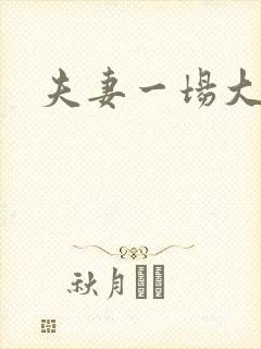 夫妻一场大结局