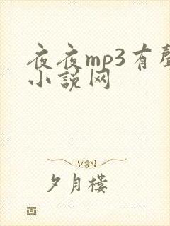 夜夜mp3有声小说网
