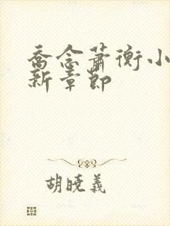 乔念萧衡小说最新章节