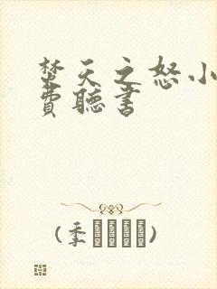 焚天之怒小说免费听书