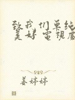 致我们单纯的小美好 电视剧