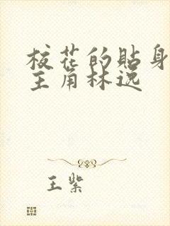 校花的贴身高手主角林逸