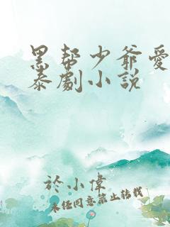 黑帮少爷爱上我泰剧小说