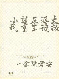 小说反派大佬让我重生后救他