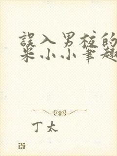 误入男校的女主米小小笔趣阁小说