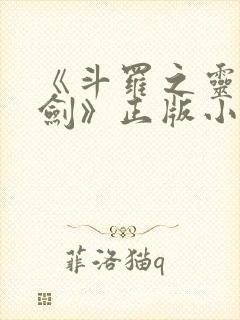 《斗罗之灵珠神剑》正版小说