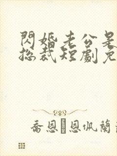 闪婚老公是亿万总裁短剧免费观看