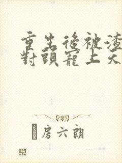 重生后被渣男死对头宠上天安