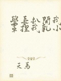 学长扒开我的乳罩捏我乳小说