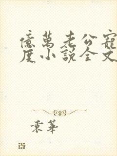 亿万老公宠妻无度小说全文